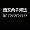 西安品茶工作室推荐大选海选实体店大圈场子外卖新中式茶空间